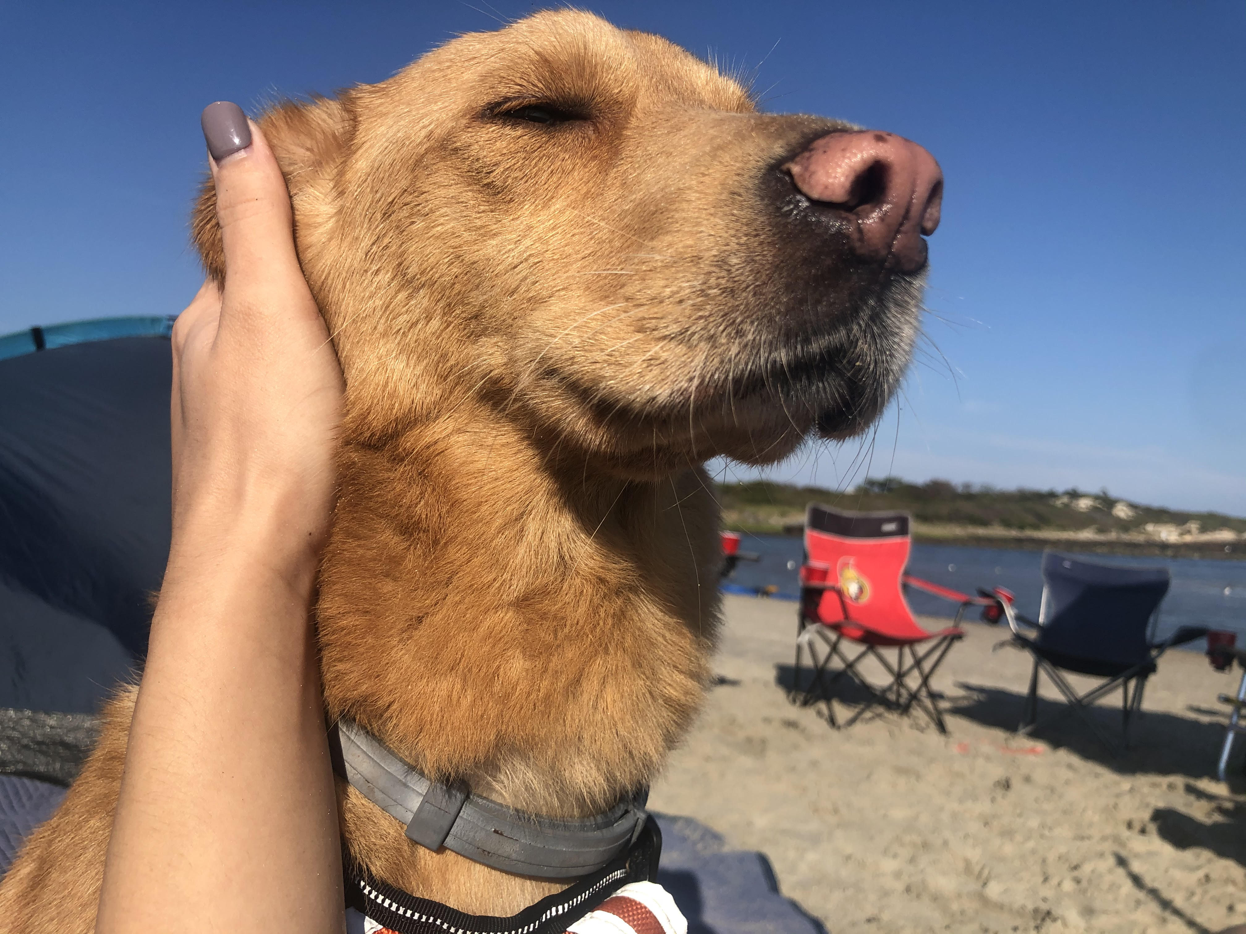 fig_caption: Enjoy the beach day!